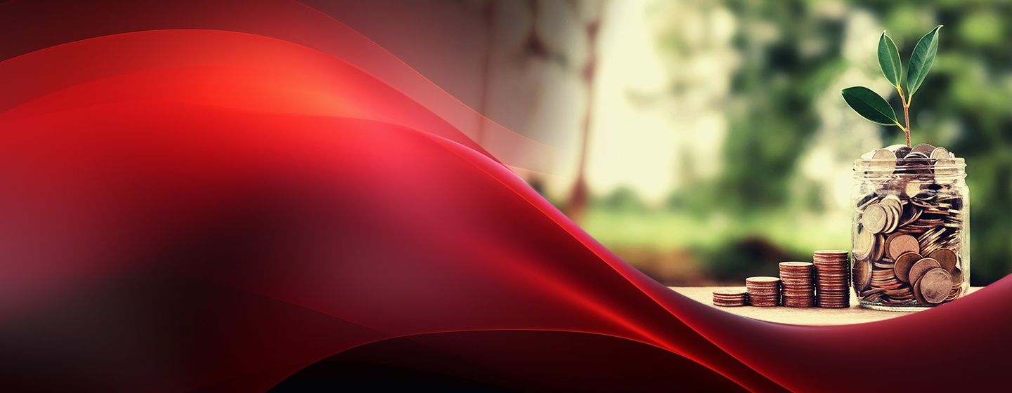 banner-image